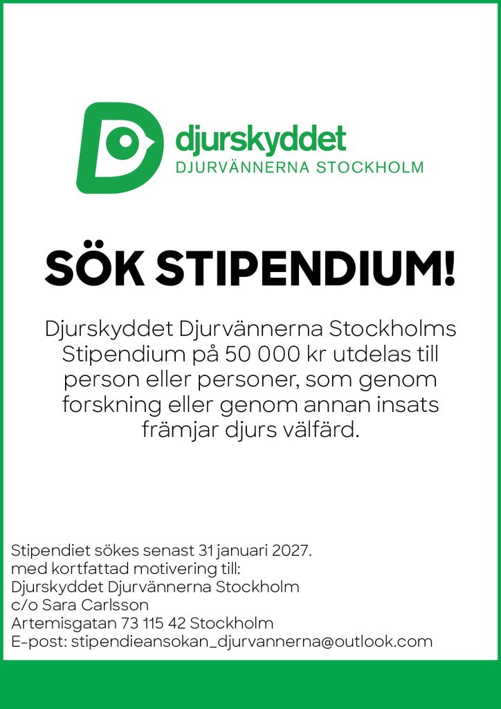 Sök stipendium. Klicka på bilden för att läsa som PDF. 