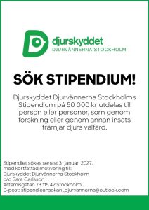 Sök Stipendium. Klicka på bilden för att läsa som PDF.