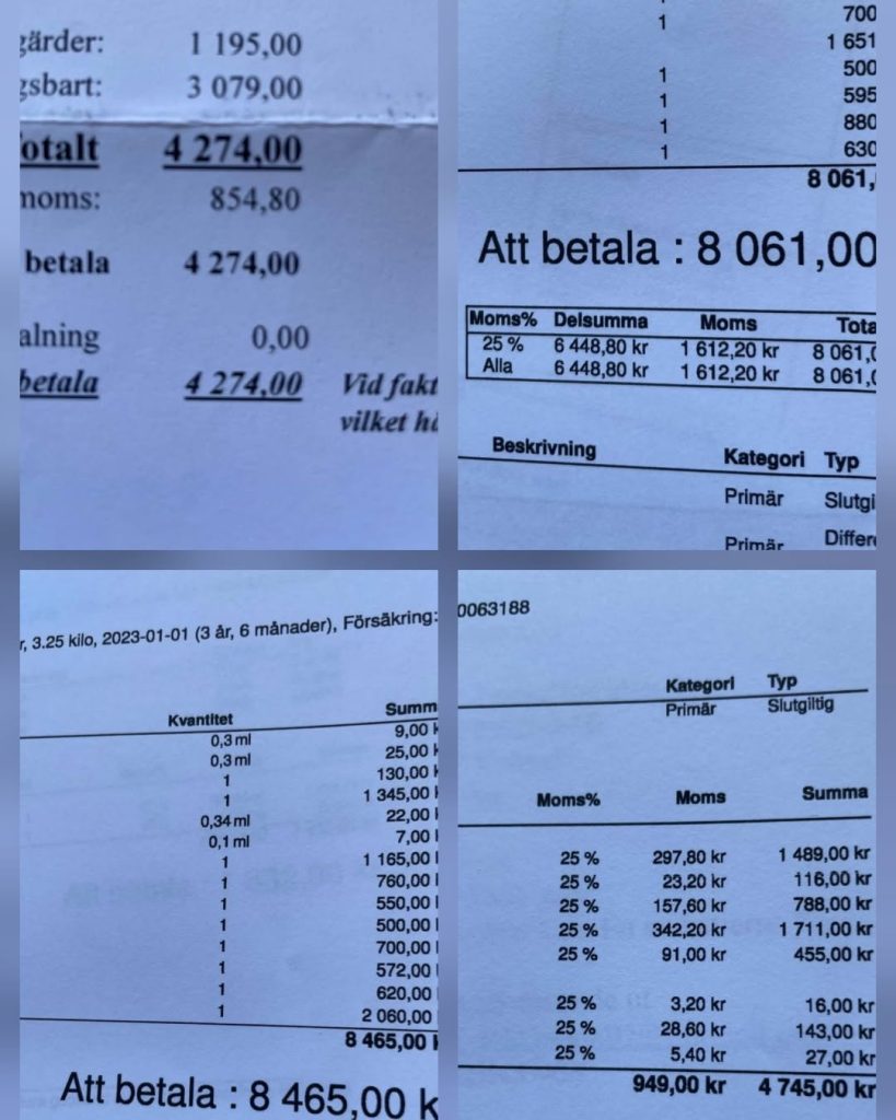 Kan vara en bild av biljettkvitto och text