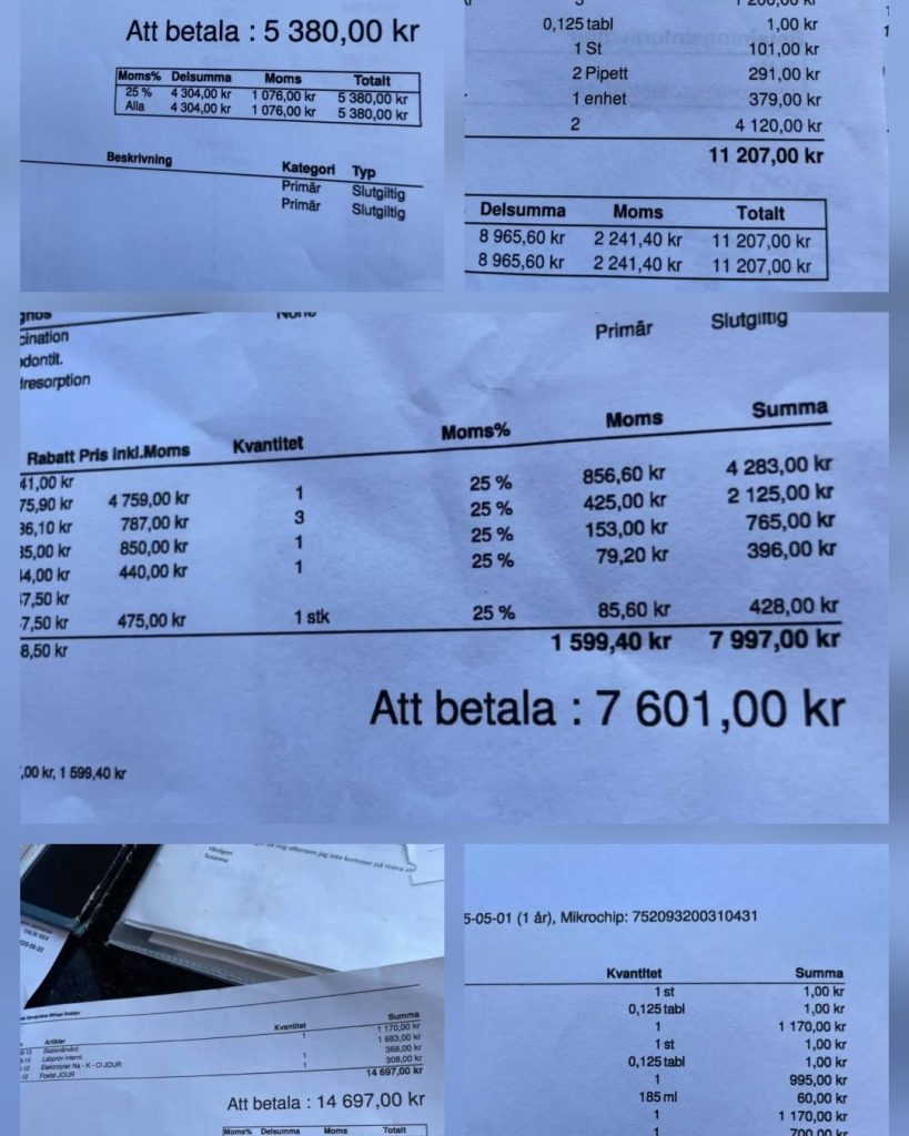Kan vara en bild av text