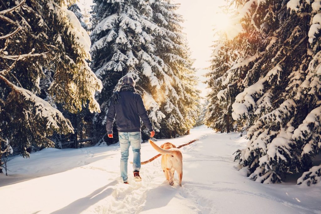Man och hund promenerar i snön. 