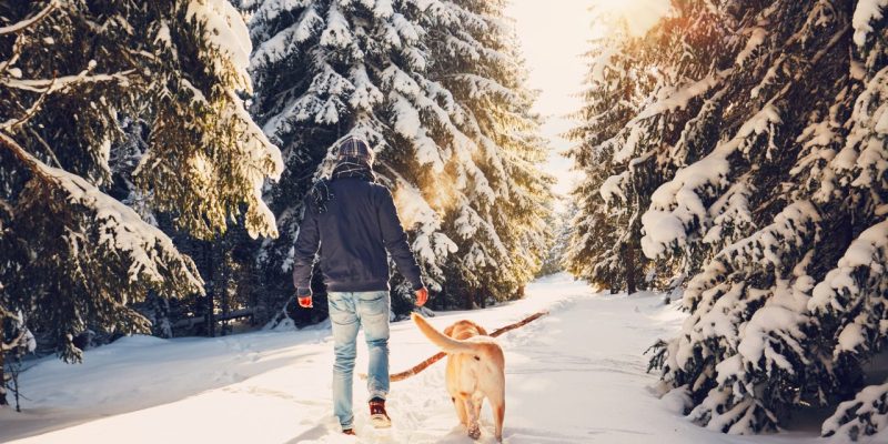 Man och hund promenerar i snön.