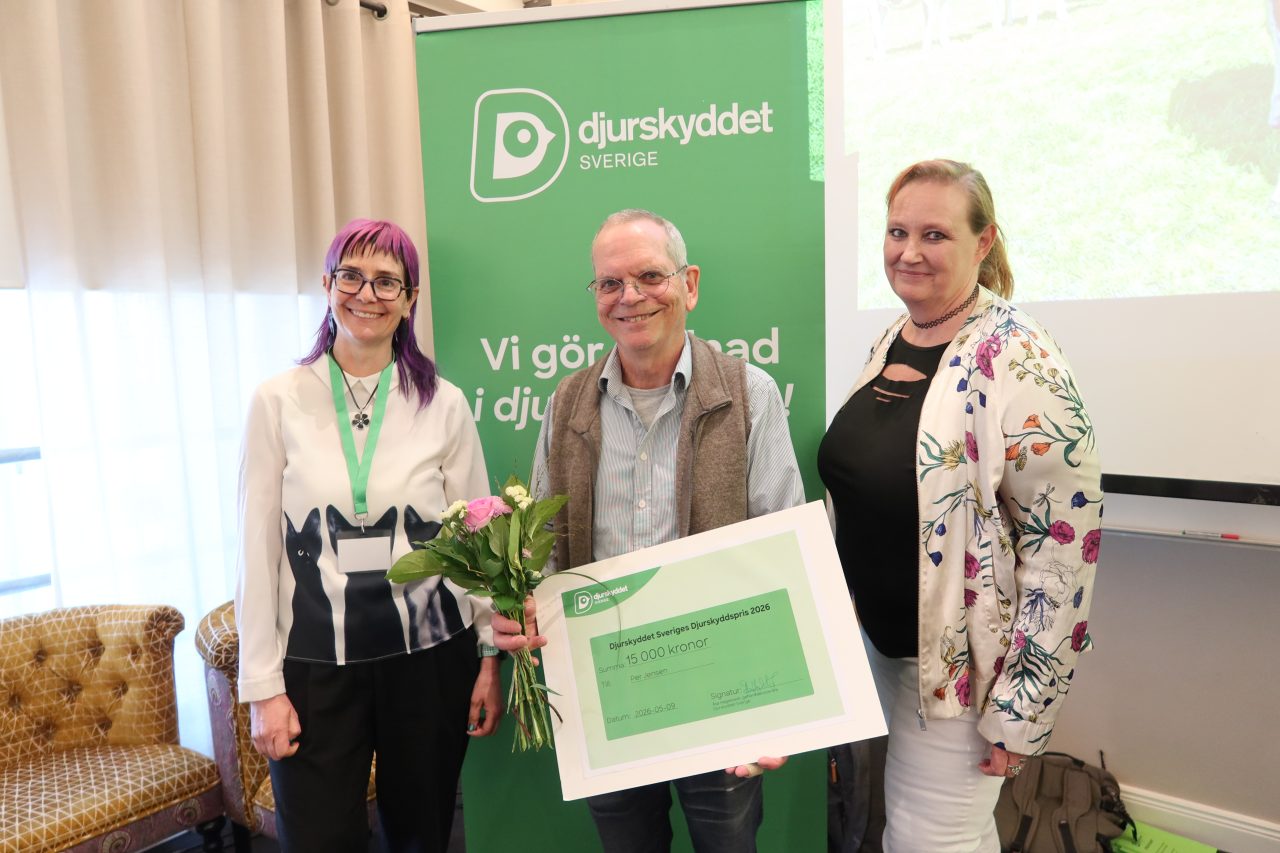 Från vänster Åsa Hagelstedt, Per Jensen, Linda Maria Vonstad.